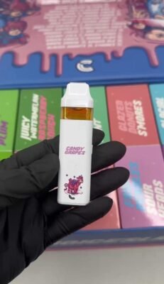 Choices Lab 2g Disposable