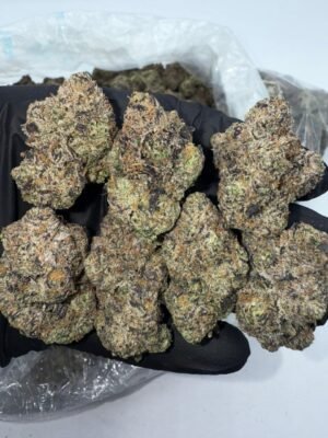 Blue Nerds Strain