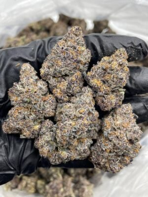 Rainbow Zerbert Strain