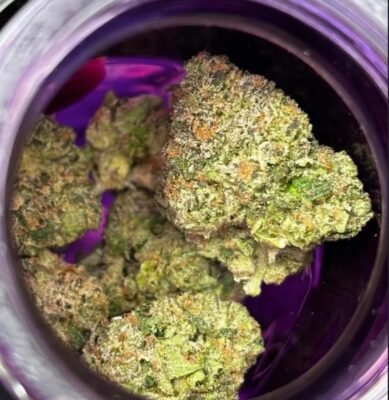 wizard trees black magic
