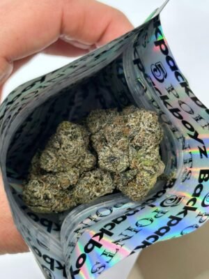 Presidential Smoke Backpackboyz