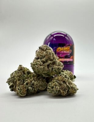 Orange Magic by Wizard Trees