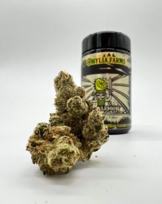 Hylia Lemon by Hylia Farms