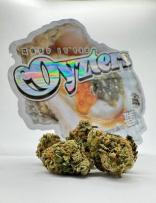 Oyzters by The Ten Co