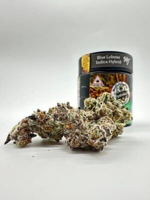 Blue Lobster by Maine Trees