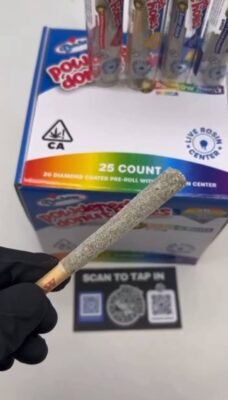 Devour Powdered Donut Holes 2G