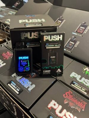 Push 2G Disposable