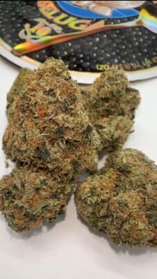 Beluga Caviar strain
