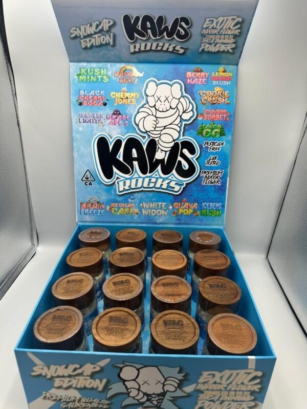 kaws rocks snowcap edition