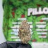 Pillows by Snooze Weed