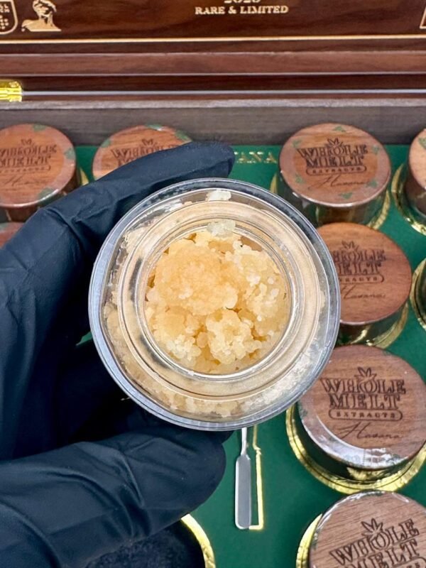 Whole Melt Extracts Havana Edition