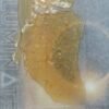 Luminate Shatter