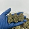 Detroit Diesel Weed