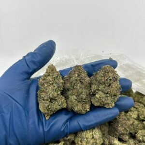 Detroit Diesel Weed