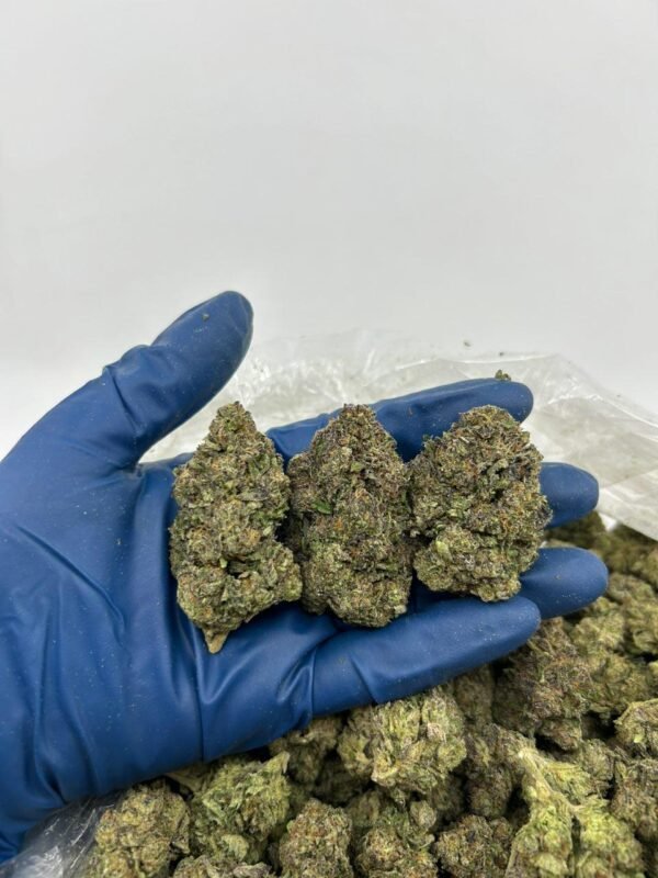 Detroit Diesel Weed