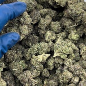 Detroit Diesel Weed