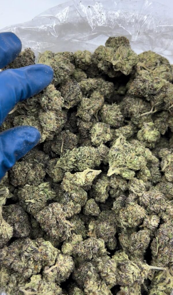 Detroit Diesel Weed