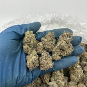 Black Cherry Funk Strain