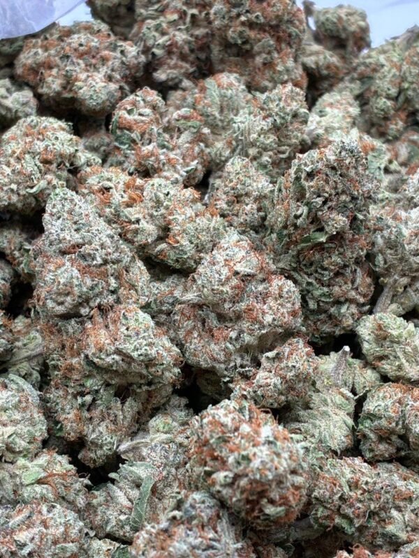 Sherb Cream Pie Weed
