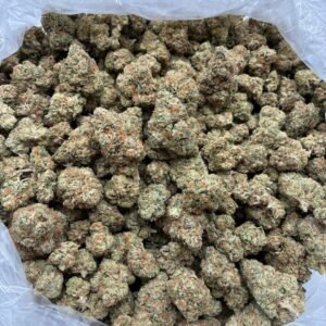 Guava Punch Strain