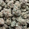 Guava Punch Strain