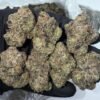 Blue Nerds Strain