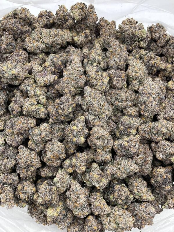 Rainbow Zerbert Strain