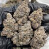 Rainbow Zerbert Strain
