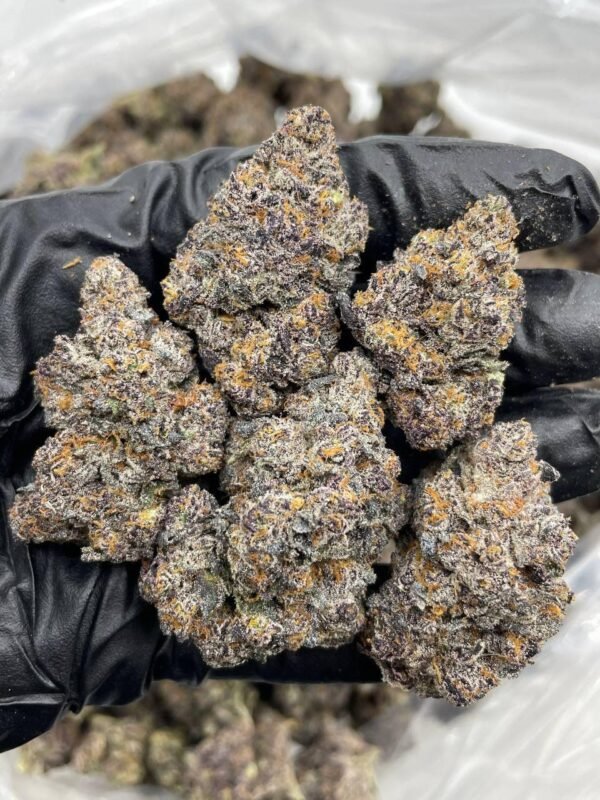 Rainbow Zerbert Strain