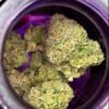 wizard trees black magic
