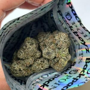 Presidential Smoke Backpackboyz