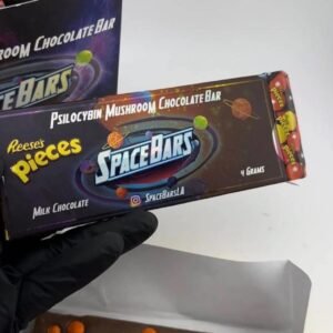Space Bars Mushroom Chocolate Bar