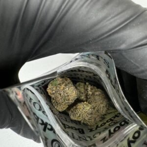 Backpackboyz Acetone