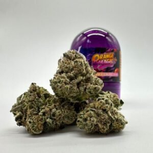 Orange Magic by Wizard Trees