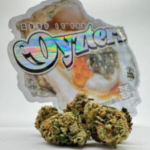 Oyzters by The Ten Co