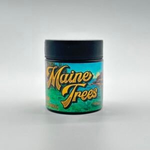 Blue Lobster by Maine Trees