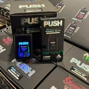 Push 2G Disposable